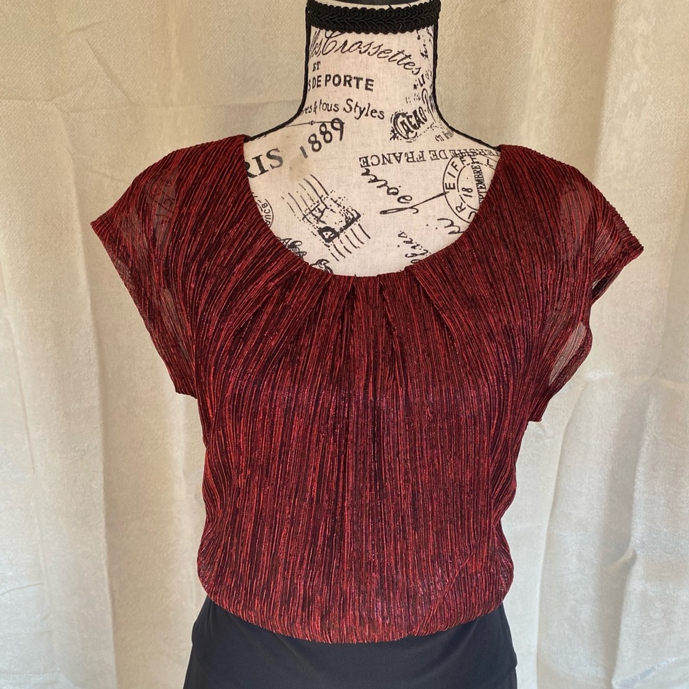 Enfocus Studio Burgundy Pleated Dress